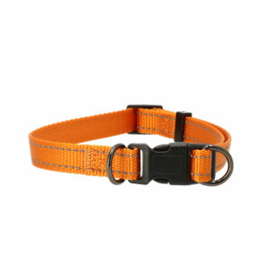 DOGMAN Kaelarihm IRIS 10mm, 22-35cm ORANŽ